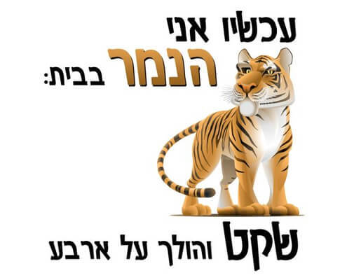 חולצה לחתן - נמר