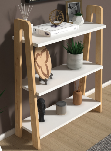 מעמד כניסה דגם לינוי 