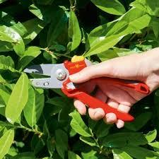 מזמרת סדן- WOLF GARTEN RS2500