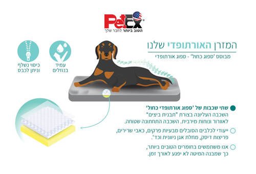 מזרן אורטופדי לכלב - פרנצ'י 