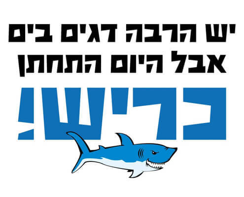 חולצה לחברים - כריש