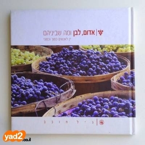 אדום,לבן ומה שבינהם- גיל חובב (יד 2 כחדש) כתר
