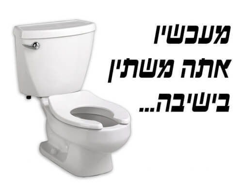חולצה לחברים - שירותים