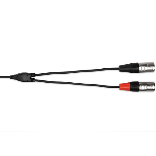Hosa Hosa כבל מעביר מ 3.5mm Stereo Mini ל זוג xlr זכר