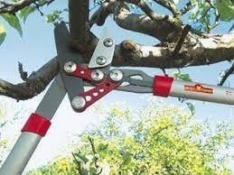 מזמרת ענפים סדן 75 ס