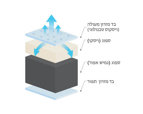 שרטוט מזרן DREAMONS וניס