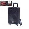 בידורית 8"  Pro audio ניטענת