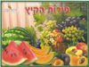 20 חוברת צביעה פירות הקיץ