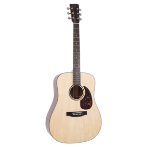 גיטרה אקוסטית צבע טבעי מבריק Recording King G6 Series Solid Top Dreadnought  RD-G6