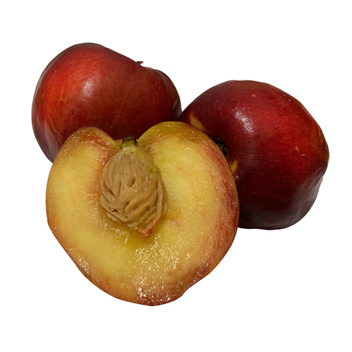נקטרינה (ק