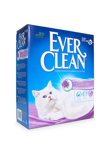 EVER CLEAN חול בניחוח לבנדר - חול לחתולים