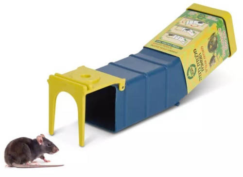 מלכודת עכברים