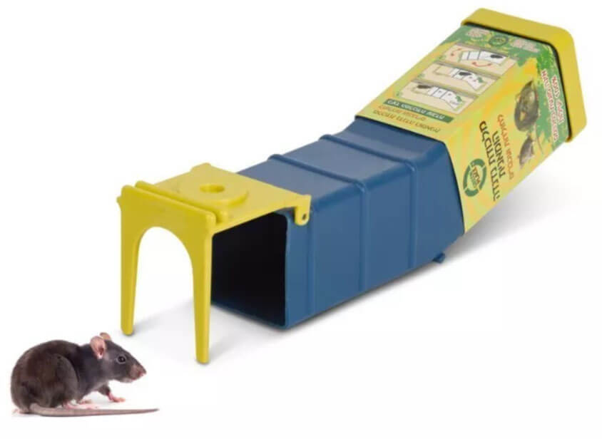 מלכודת נדנדה הומנית ללכידת עכברים