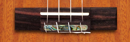 יוקללה קונצרט מוגברת כולל נרתיק LEHO LHUC-ASM-CEL-E All Solid Mahogany