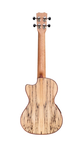 זוית נוספת Cordoba 24T-CE