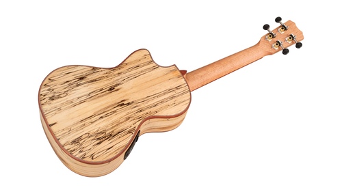 זוית נוספת Cordoba 24T-CE