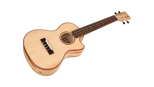 זוית נוספת Cordoba 24T-CE