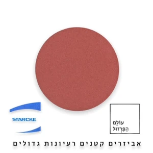 נייר ליטוש 6" | גרעין 80 | ללא חורים -  STARCKE
