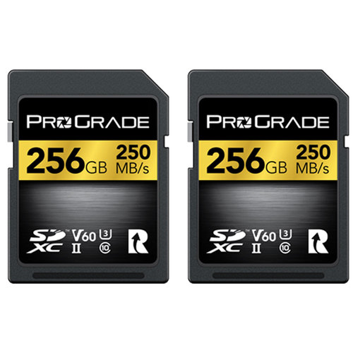 2 כרטיסי זיכרון Prograde Digital SDXC UHS-II V60 250MBs 256GB