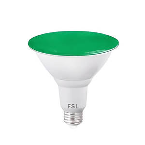 נורת פר לד 16W מוגן מים במגוון צבעים PAR LED FSL 16W