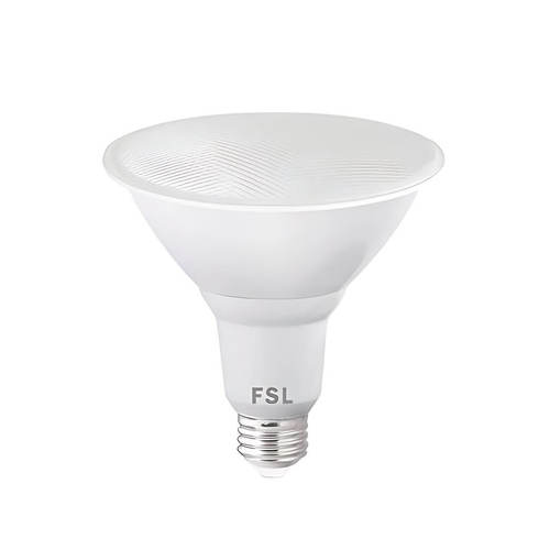 נורת פר לד 16W מוגן מים במגוון צבעים PAR LED FSL 16W