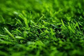 דשא סינטטי ניצן 30 מ"מ רוחב 2 GREEN