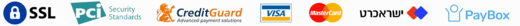 payment_icon