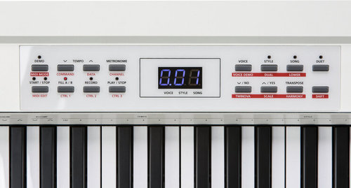 פסנתר חשמלי 88 קלידים נייד לבן KURZWEIL KA70 WH