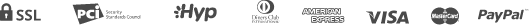 payment_icon