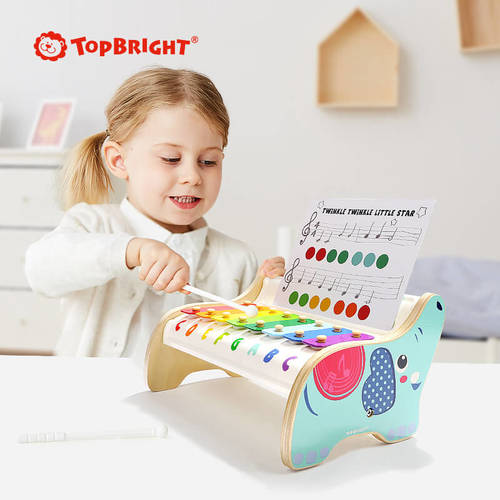קסילופון פיל TOPBRIGHT