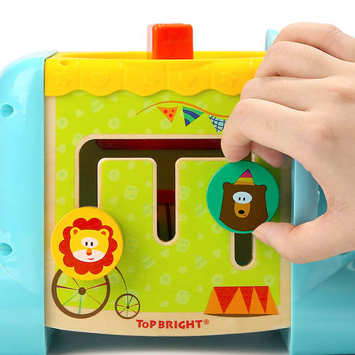 קוביית פעילות פיל 5 ב-1