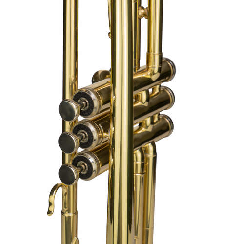 חצוצרה עם ספר לימוד + CD+ תיק CASCHA EH3820