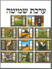 ערכת קישוט שמיטה