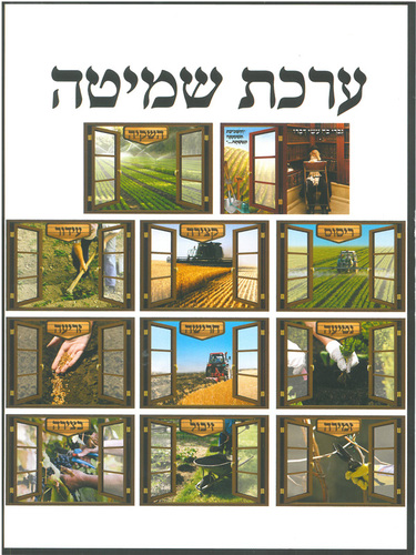 ערכת קישוט שמיטה