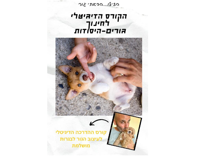 שי רצר הקורס הדיגיטלי: חינוך גורים – היסודות