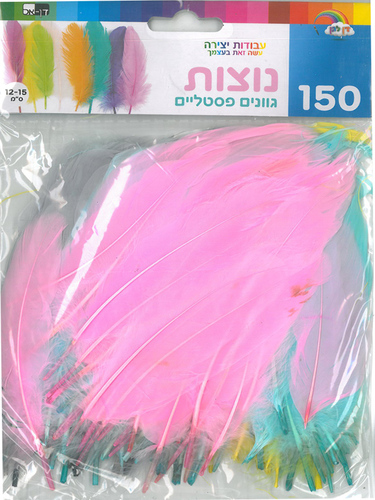 נוצות בגוונים פסטליים 