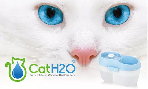 מזרקת מים לחתול H20