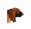 זמם לכלב סליקי מידה 5