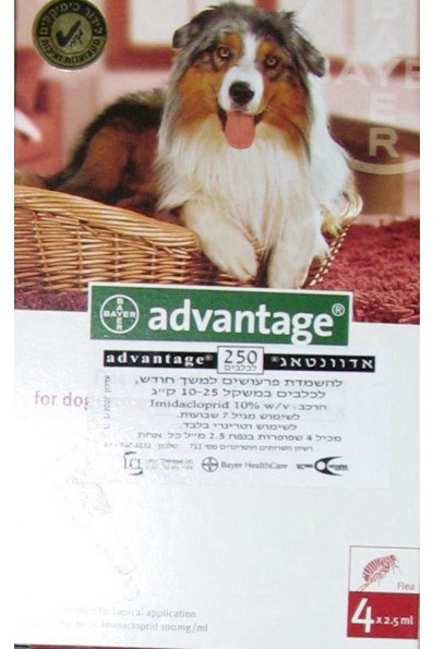 Advantage טיפות - טיפול בפרעושים וקרציות לכלבים