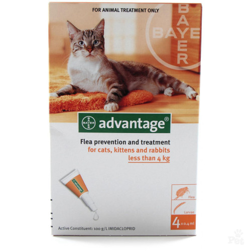Advantage טיפות - טיפול בפרעושים וקרציות לחתולים