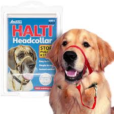 הלטי Halti מחסום פה מידה 2