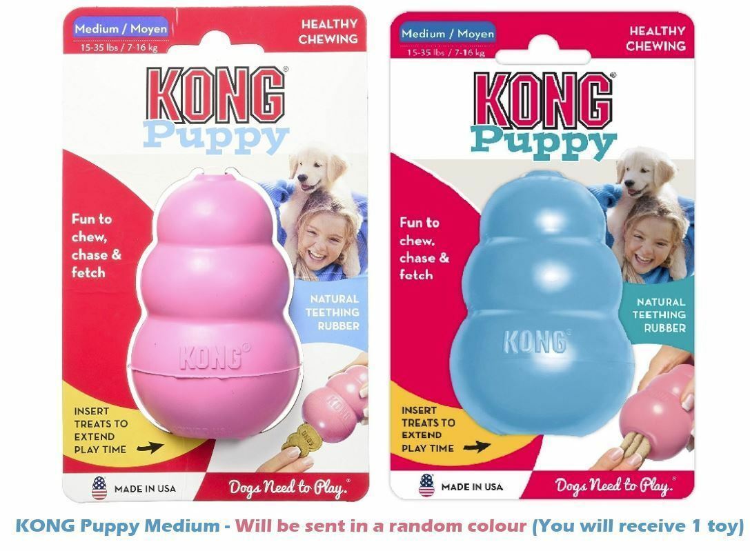 קונג לגורים KP2 M 