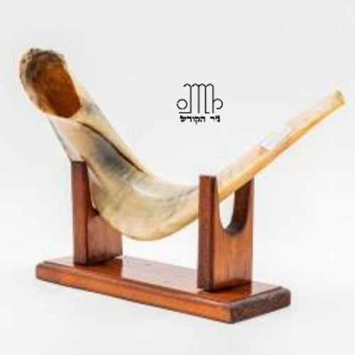 שופר 