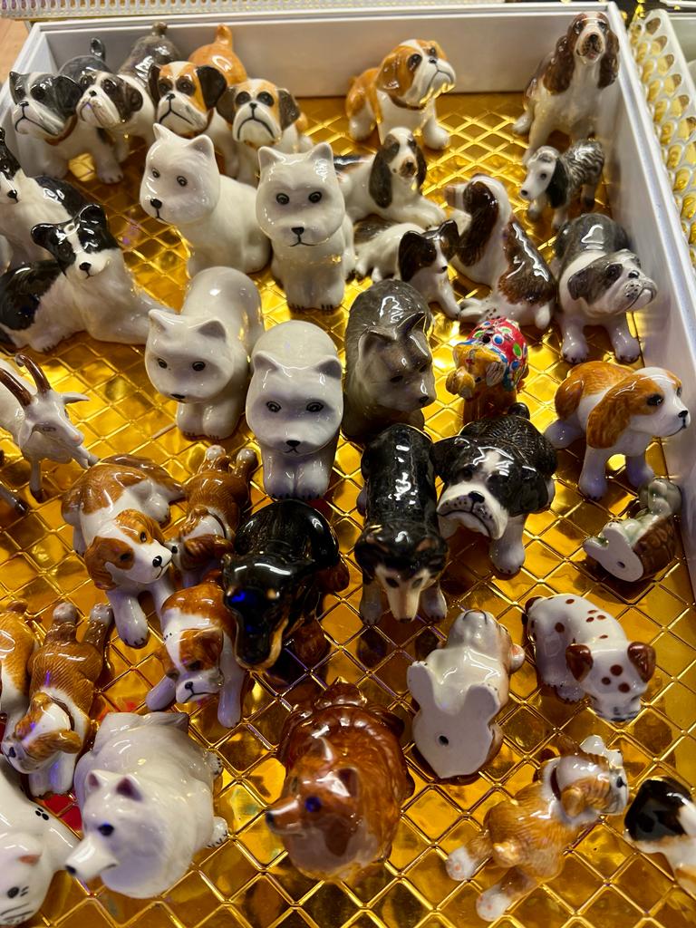 23b7e679fd5aab167c6db326b2f0110e