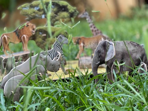 חיות בסוואנה אפריקה -  נשיונל גיאוגרפיק ( רמה 2) מבית CUBIC FUN