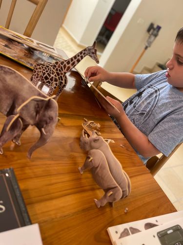 חיות בסוואנה אפריקה -  נשיונל גיאוגרפיק ( רמה 2) מבית CUBIC FUN