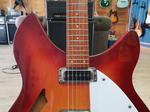 Rickenbacker 330 1989