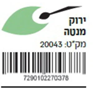 אקזוטיק ירוק מנטה 200 מ"ל