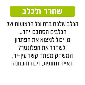 שחרר ת'כלב גאוני GEONI