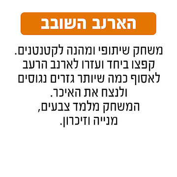 הארנב השובב גאוני GEONI